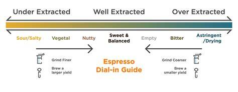 Double shot espresso extraction time.  Achieving this timing requires a balanced approach to th...