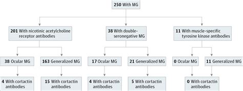 Double-Seronegative Myasthenia Gravis With Cortactin Antibodies