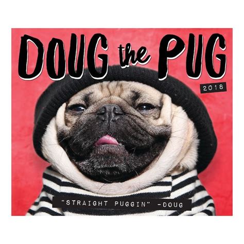 Doug The Pug 2018 Desk Calendar Doug the pug, Pugs, Cute pugs