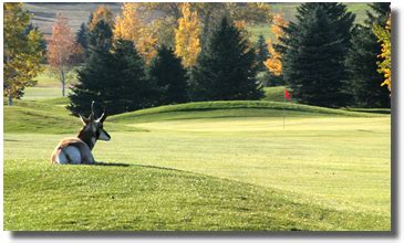 Douglas Community Golf Course, WY Daily Weather AccuWeather