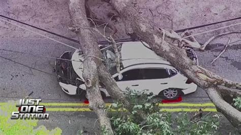 Douglas couple describes tree crushing their moving car, trapping them inside