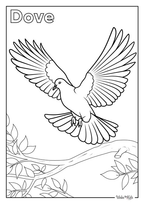 Dove Coloring Shee