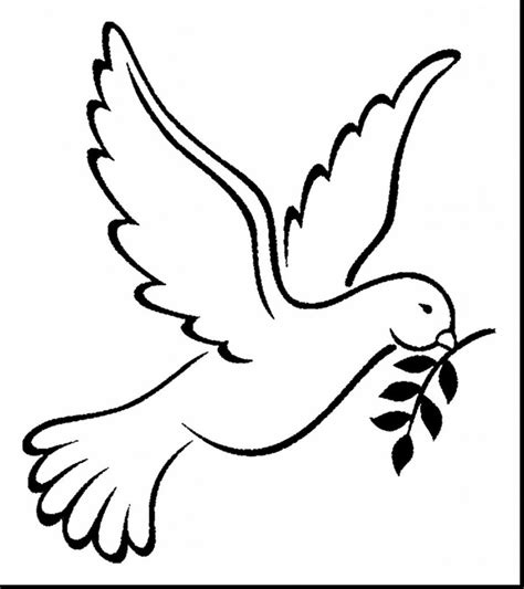 Dove Drawing Outline at GetDrawings Free download