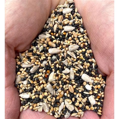 Dove Seed Mix