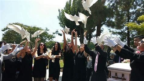 Dove release at funeral.  From the first call The release of white doves at...