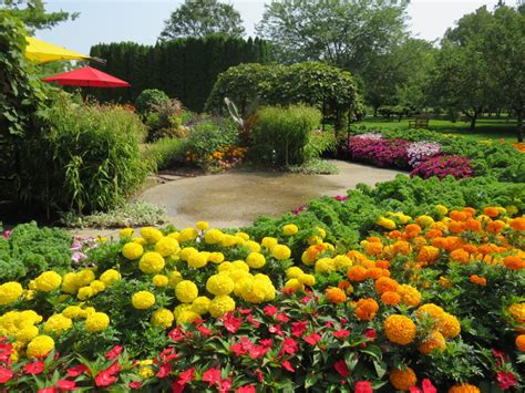 Dow gardens mi. 2018. Keep Michigan Beautiful. President's Award. Dow Gardens is a beautiful 110 acre botanical garden that features walking trails, a greenhouse, childrens garden, and many seasonal flowering beds and plants. 