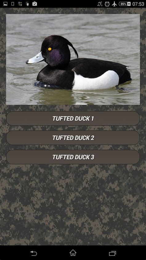 Downed duck save the duck fr APK Download for Android 