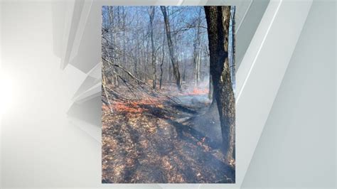 Downed power lines cause brush fire in Spencertown