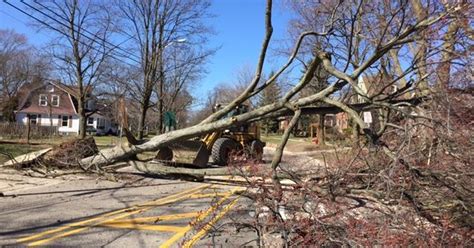 Downed trees cause extensive damage, traffic across state as wind gusts reach 50-70 mph in some spots