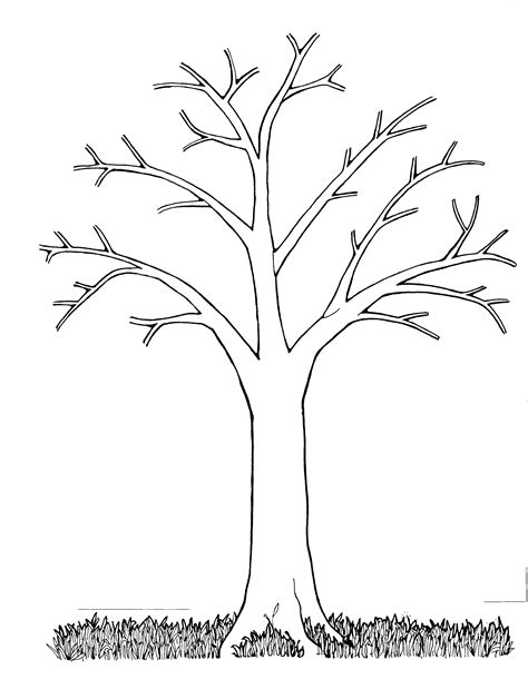 Download 136+ Bare Trees Coloring Pages PNG PDF File