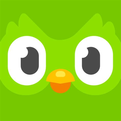codini.rgarabwor.edu.pl. 