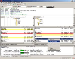 codini.rgarabwor.edu.pl. 