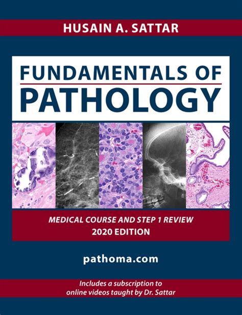 Download Free Fundamentals Of Pathology Pathoma Pdf