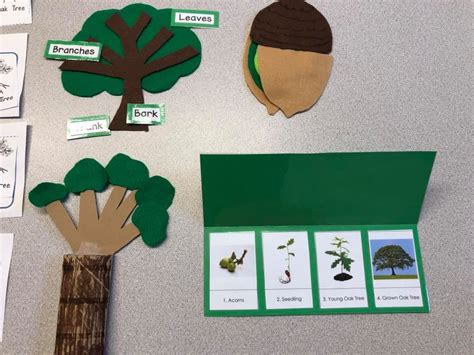 Download Full Book Science And Craft Projects With Trees And …