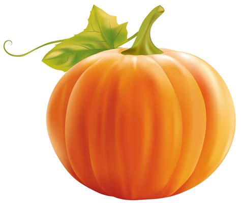 Download High Quality pumpkin clipart cartoon Transparent PNG Images