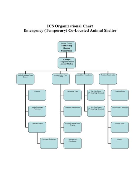 Download ICS Organizational Chart for Free FormTemplate