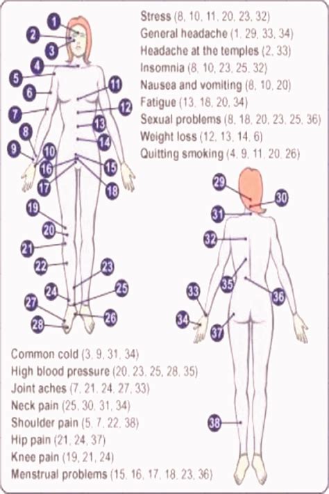 Download Pressure Point Chart for Free FormTemplate