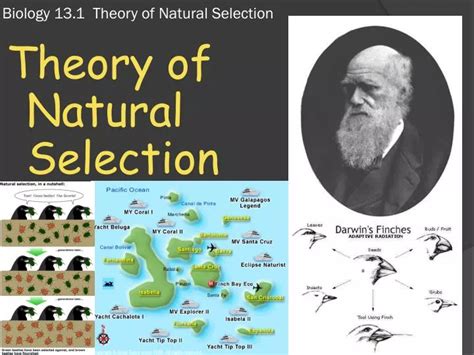 Download biology book pdf.  evolution by natural selection.  Download 13 fr...