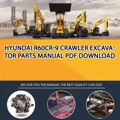 Download del manuale di riparazione per escavatore cingolato hyundai r60cr 9. - The practical geologist the introductory guide to the basics of geology and to collecting and identifying rocks.