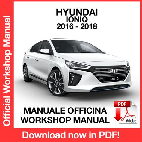 Download gratuito manuale di officina coupe hyundai. - Pale entwirft ein gifthandbuch d20 system.