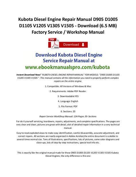Download immediato manuale officina diesel kubota serie 05 d905 d1005 d1105 v1205 v1305 v1505. - Origen del hombre moderno en el suroeste de europa.