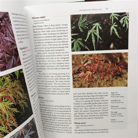 Download japanese maples the complete guide to selection and cultivation fourth edition. - Manualet e cmimeve te ndertimit 2012.