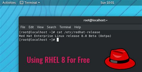 Download linux. .  It includes dozens of runtime languages, compilers, databases, and web a...