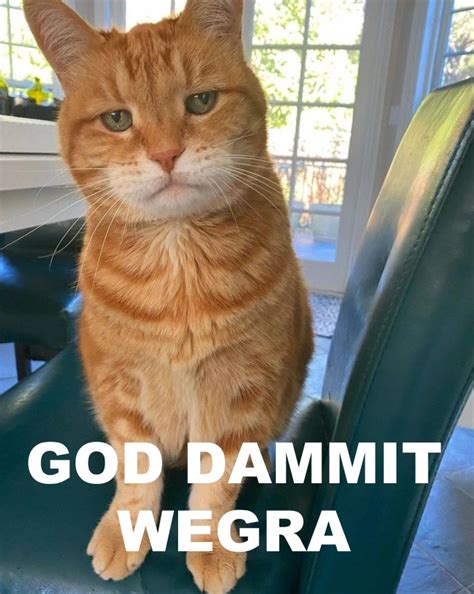Download meet n fuck.  Enjoy The collection includes all games, including...