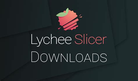 Download the latest version of Lychee Slicer for …