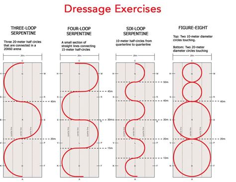 Download this chart of dressage arena exercises to help develop