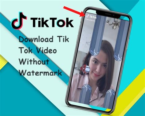 Download tiktok videos without watermark. 