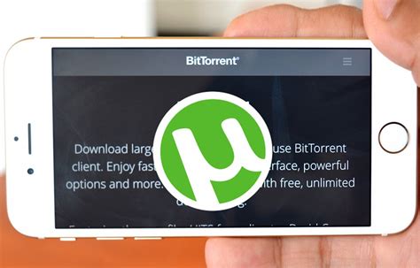 Download torrent online iphone. Maximize your torrenting experience with iTorrent for iOS. Download iTorrent now and enjoy fast and efficient downloads, seamless torrent management, and the … 