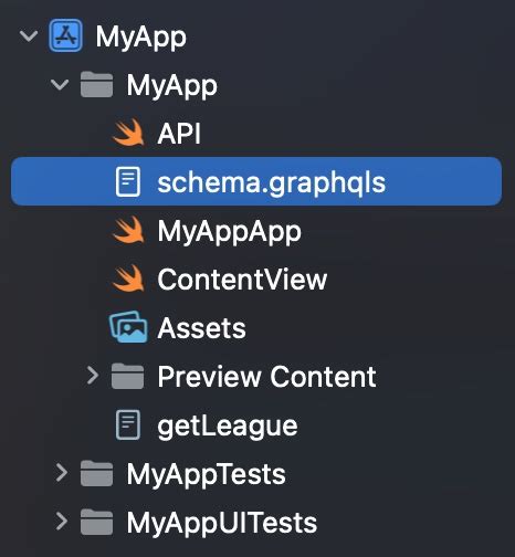 Downloading a schema - Apollo GraphQL Docs