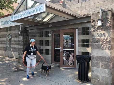 Downtown animal care center. Downtown Animal Care Center, Denver. 2,304 likes · 2 talking about this · 1,600 were here. Downtown Animal Care Center is an affordable, full-service, small animal veterinary hospital providing... 