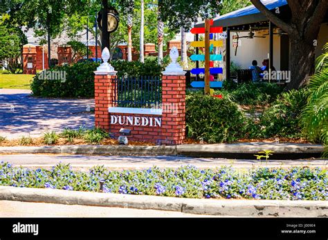 Downtown dunedin. Downtown Hotels in Dunedin: Find 2118 traveller reviews, candid photos, and the top ranked City Center Hotels in Dunedin on Tripadvisor. 
