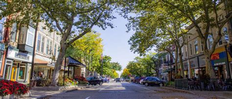 Downtown holland. Things To Know About Downtown holland. 