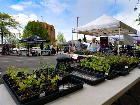 Yakima Downtown Farmers Market. Details Date: June 2 Time: 9:00 am - 1:00 pm. Series: Yakima Downtown Farmers Market Event Category: Farmers Markets ... 5 months 27 days: A cookie set by YouTube to measure bandwidth that determines whether the user gets the new or old player interface. YSC: