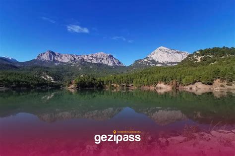 Doyran Halı ve Koltuk Yıkama