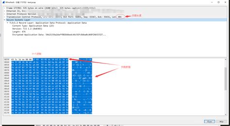 Dpkt python 3 tutorial. 04.  It allows you to manipulate packets, extr...