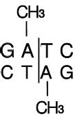 Dpn I - Takara