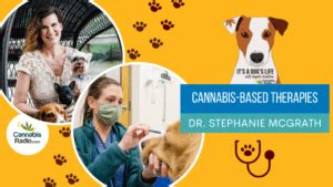 Dr Stephanie Mcgrath Cbd Dogs