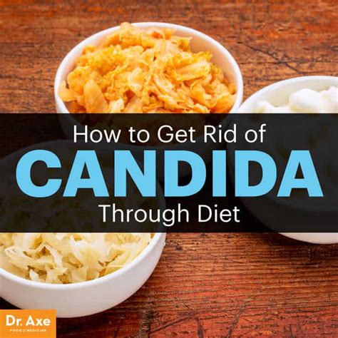 Dr axe candida diet. 38K views, 729 likes, 3 loves, 104 comments, 623 shares, Facebook Watch Videos from Dr. Josh Axe: Many people struggle with candida and need a quick solution. Follow my specific diet, supplements,... 