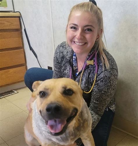 Nicole Arcy is a Veterinarian who is qualified to treat injured animals, and she is also a Michigan-based TV Star as she has also acted in a famous TV show .... 