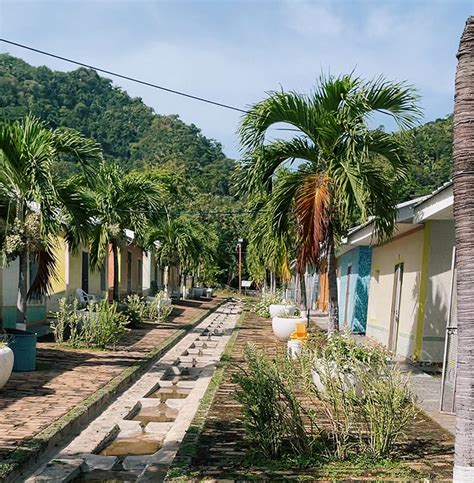 During this episode I traveled to Central America to do a 3 week detox at the world famous Usha Village ran by Dr. Sebi and staff. This is a reflection of my.... 