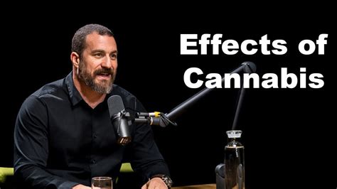 Dr. Huberman on The Biological Effects of Cannabis