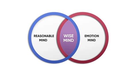 Dr. Marsha Linehan Teaches: Emotion, Reasonable and Wise Mind