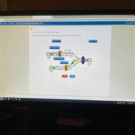 Drag each label to the correct location on the image Arrange the symbols to form a DNA