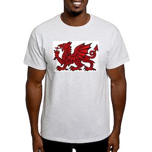 Dragon Age T-Shirts - CafePress