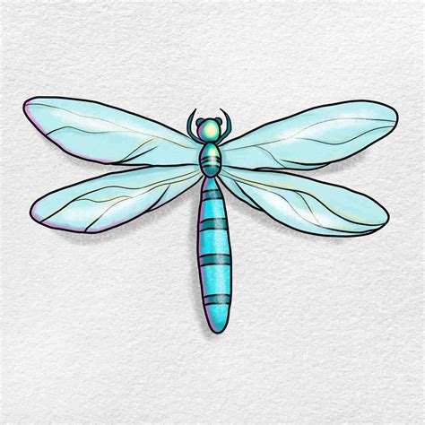 Dragon Fly Images Drawing