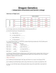 Dragon Genetics Lab Answers